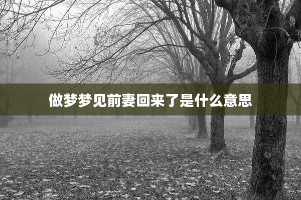 做梦梦见前妻回来了是什么意思