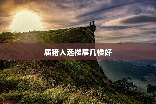 属猪人选楼层几楼好