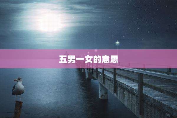 五男一女的意思