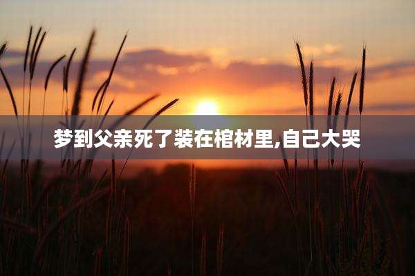 梦到父亲死了装在棺材里,自己大哭