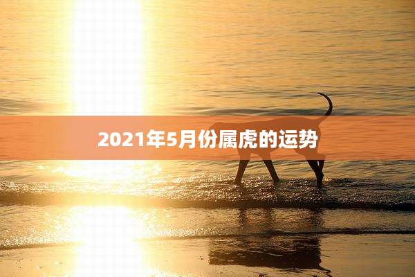 2021年5月份属虎的运势
