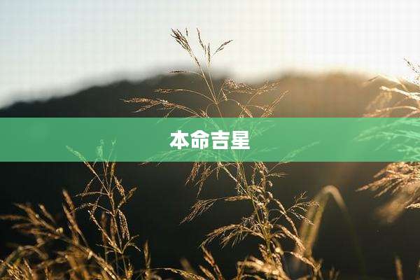 本命吉星
