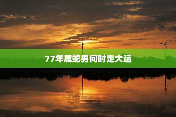 77年属蛇男何时走大运