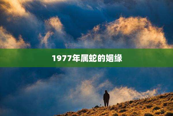 1977年属蛇的姻缘