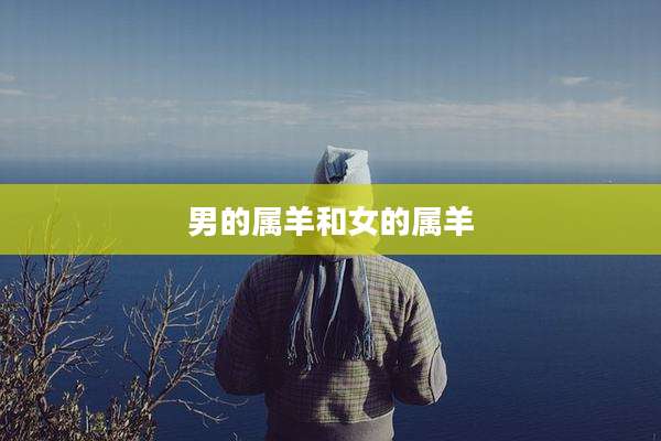 男的属羊和女的属羊