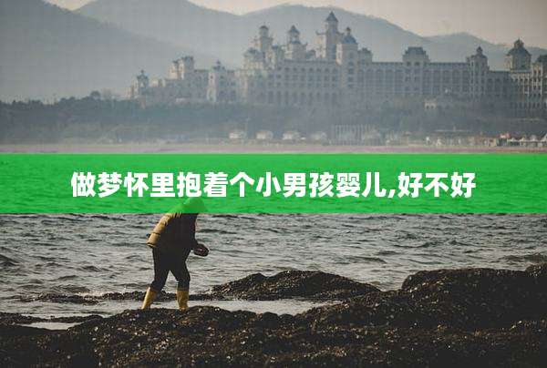 做梦怀里抱着个小男孩婴儿,好不好