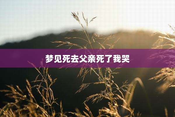 梦见死去父亲死了我哭