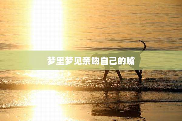 梦里梦见亲吻自己的嘴
