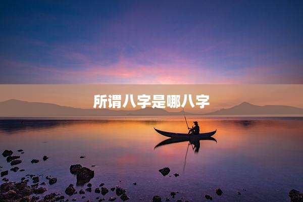 所谓八字是哪八字