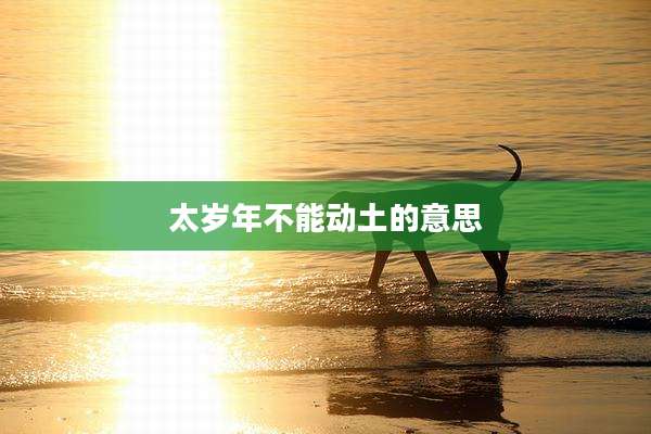 太岁年不能动土的意思