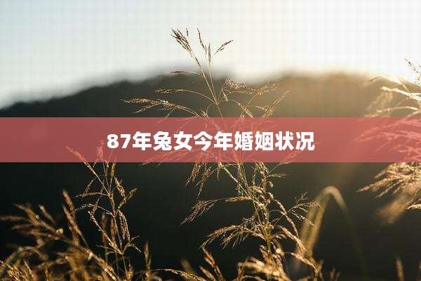 87年兔女今年婚姻状况