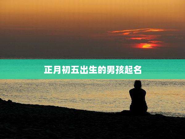 正月初五出生的男孩起名