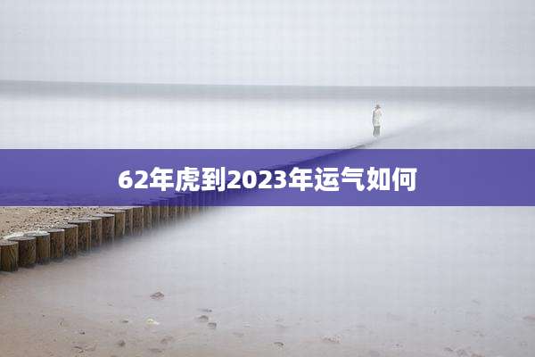62年虎到2023年运气如何