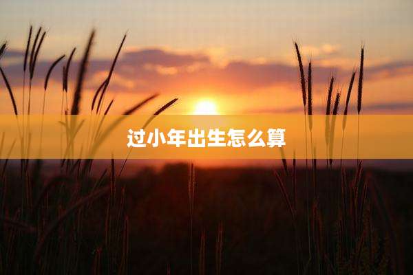 过小年出生怎么算