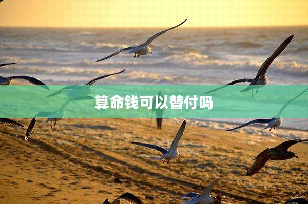 算命钱可以替付吗