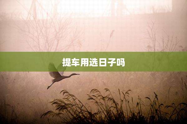 提车用选日子吗