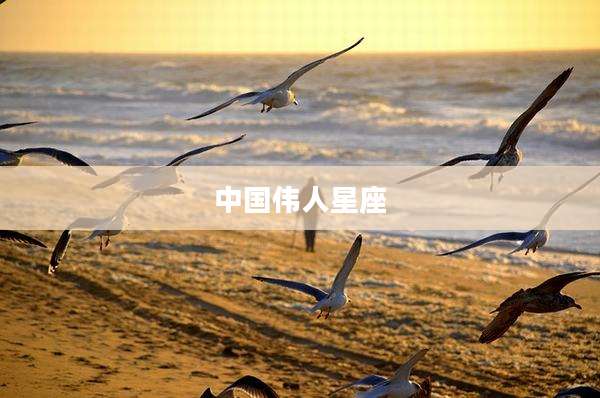中国伟人星座