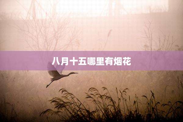 八月十五哪里有烟花