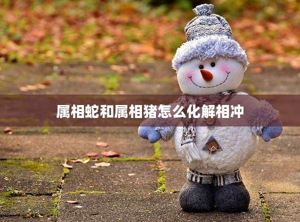 属相蛇和属相猪怎么化解相冲
