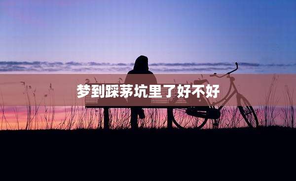 梦到踩茅坑里了好不好