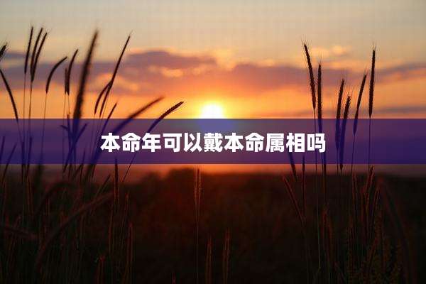 本命年可以戴本命属相吗