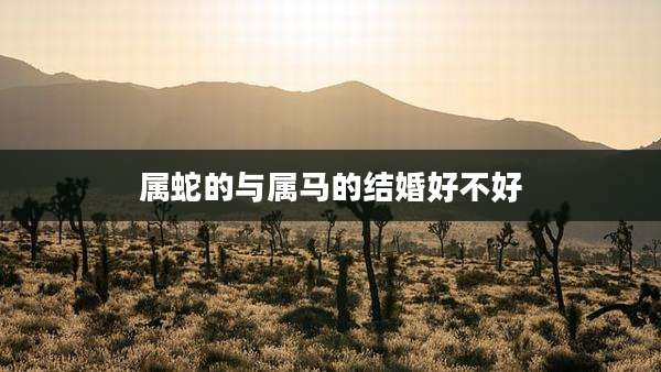 属蛇的与属马的结婚好不好
