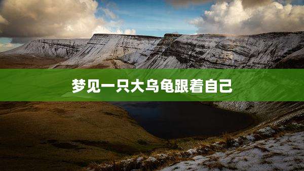 梦见一只大乌龟跟着自己