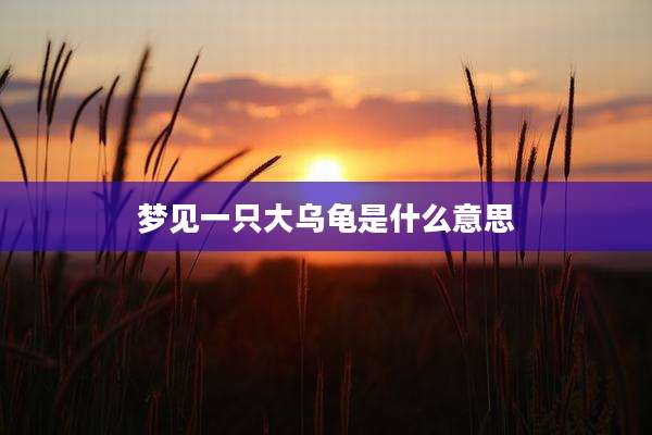 梦见一只大乌龟是什么意思