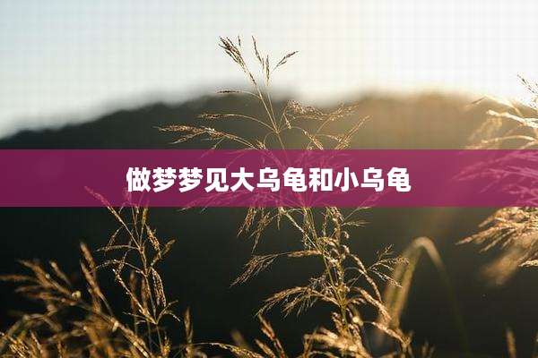 做梦梦见大乌龟和小乌龟