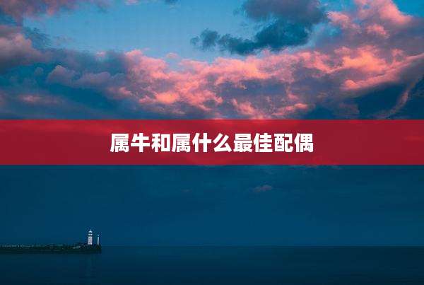 属牛和属什么最佳配偶