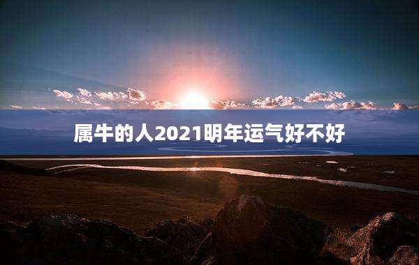 属牛的人2021明年运气好不好