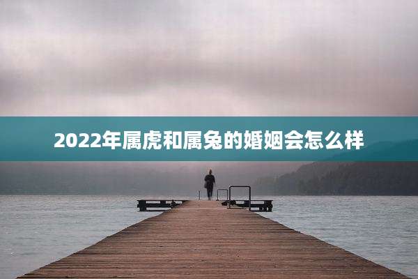 2022年属虎和属兔的婚姻会怎么样