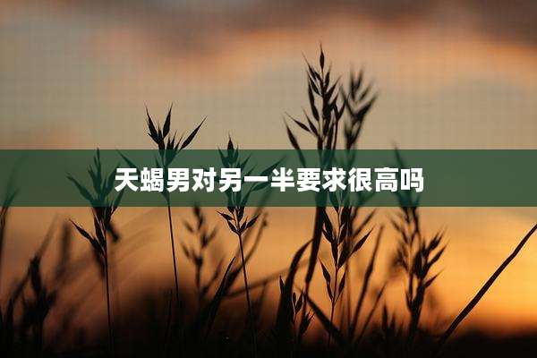天蝎男对另一半要求很高吗