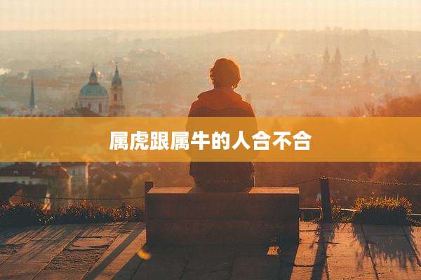 属虎跟属牛的人合不合