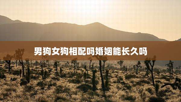 男狗女狗相配吗婚姻能长久吗