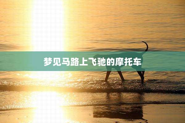 梦见马路上飞驰的摩托车