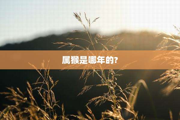 属猴是哪年的?