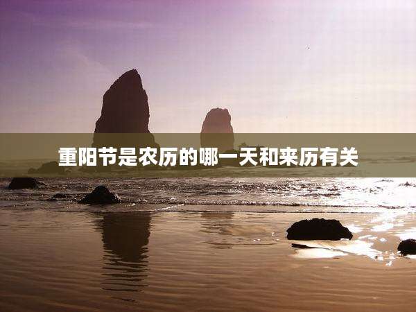 重阳节是农历的哪一天和来历有关