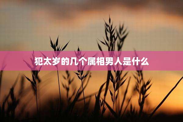 犯太岁的几个属相男人是什么