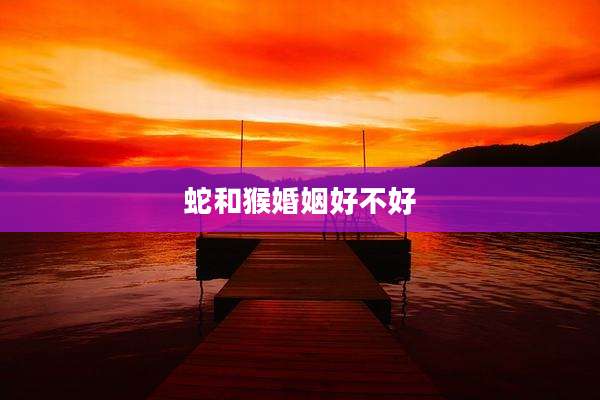 蛇和猴婚姻好不好