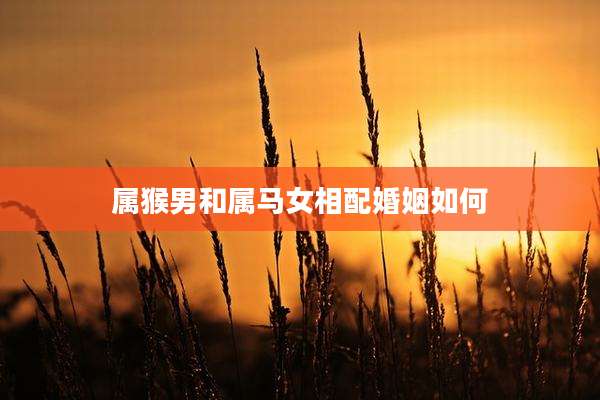属猴男和属马女相配婚姻如何