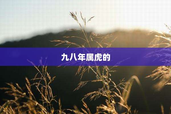 九八年属虎的