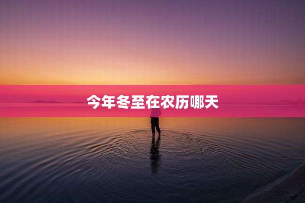 今年冬至在农历哪天