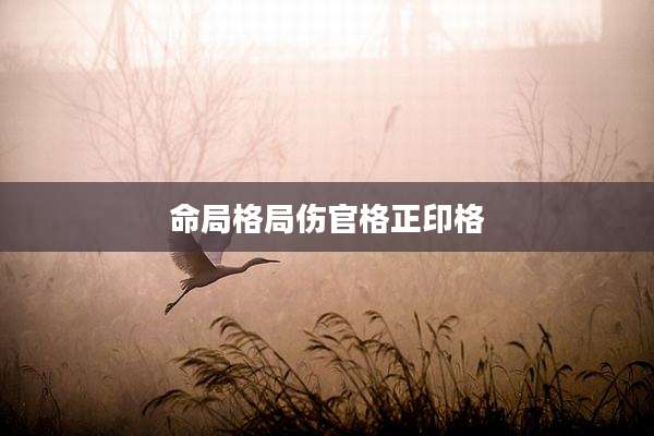 命局格局伤官格正印格