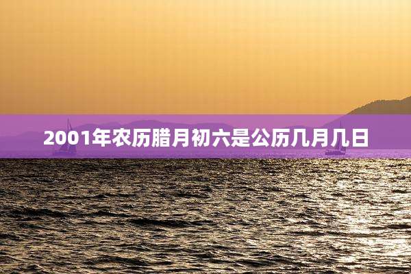 2001年农历腊月初六是公历几月几日