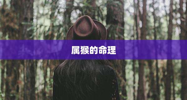 属猴的命理