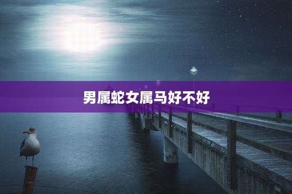 男属蛇女属马好不好