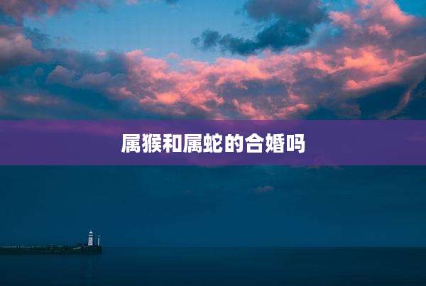 属猴和属蛇的合婚吗