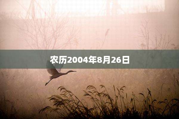农历2004年8月26日