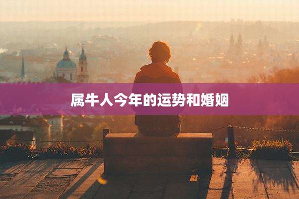 属牛人今年的运势和婚姻